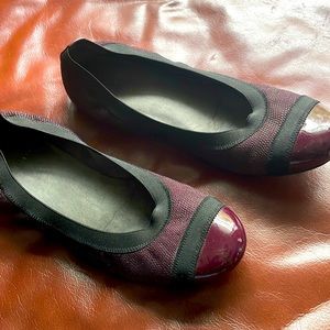 Stuart weitzman flats. Super comfy!